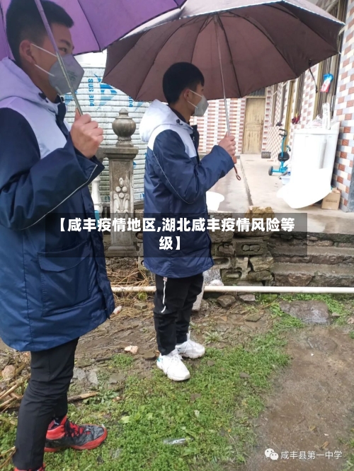 【咸丰疫情地区,湖北咸丰疫情风险等级】-第2张图片