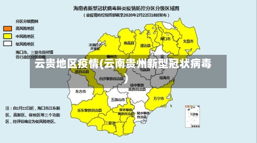 云贵地区疫情(云南贵州新型冠状病毒)-第2张图片