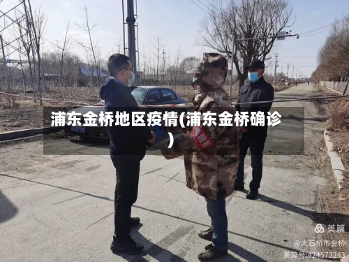 浦东金桥地区疫情(浦东金桥确诊)-第3张图片