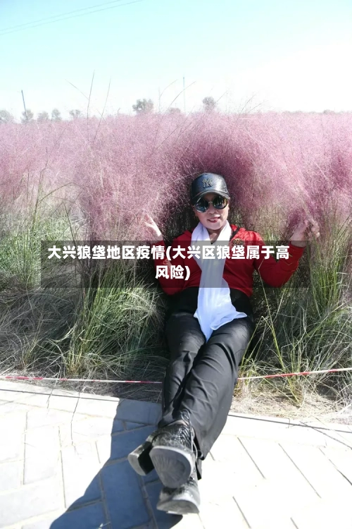 大兴狼垡地区疫情(大兴区狼垡属于高风险)