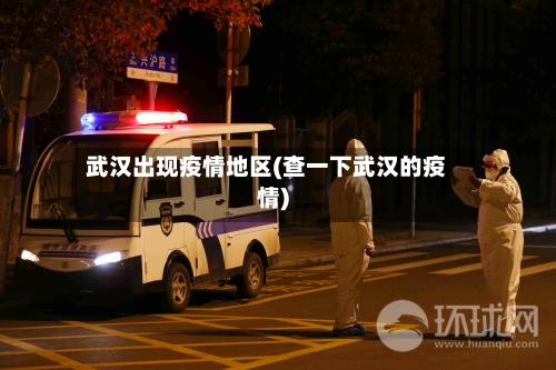 武汉出现疫情地区(查一下武汉的疫情)-第2张图片