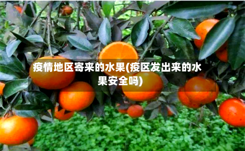 疫情地区寄来的水果(疫区发出来的水果安全吗)
