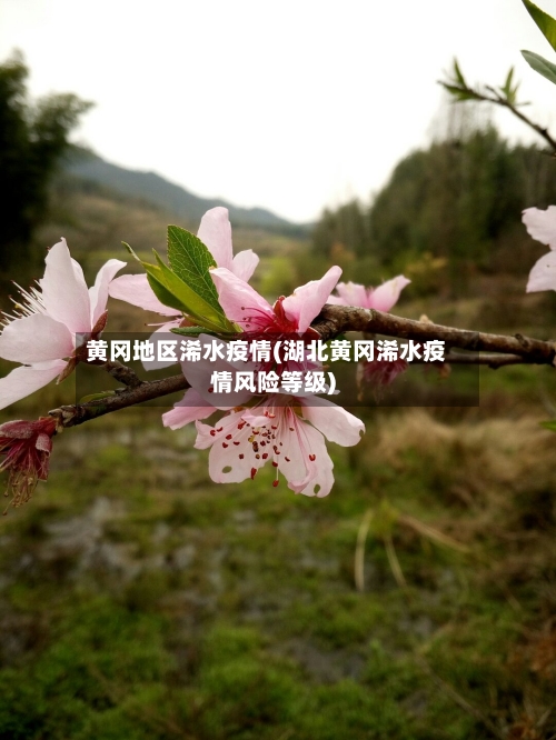 黄冈地区浠水疫情(湖北黄冈浠水疫情风险等级)-第2张图片