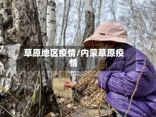 草原地区疫情/内蒙草原疫情
