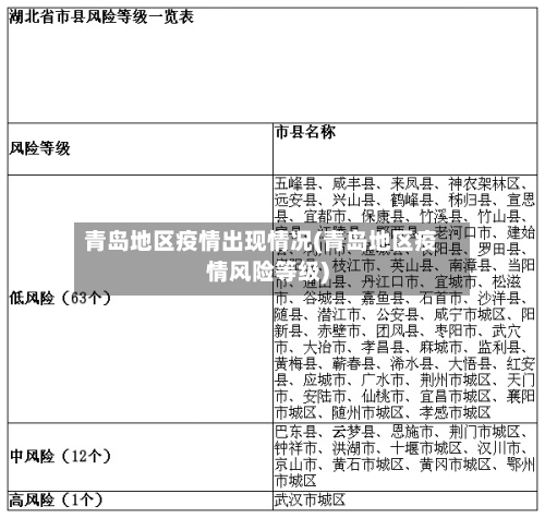 青岛地区疫情出现情况(青岛地区疫情风险等级)-第2张图片