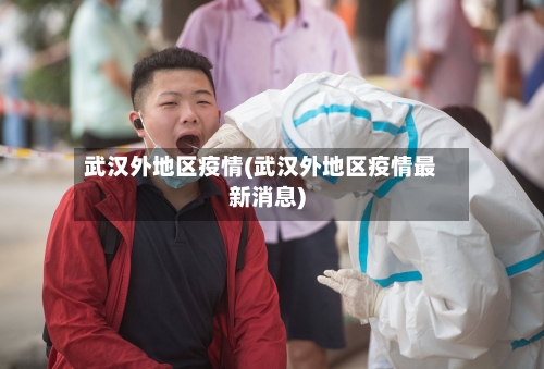 武汉外地区疫情(武汉外地区疫情最新消息)-第2张图片