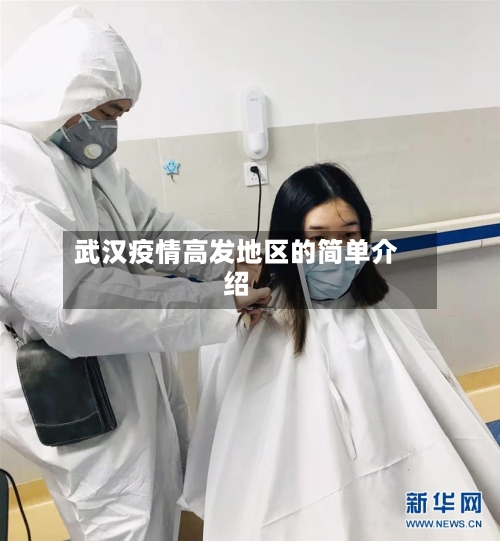 武汉疫情高发地区的简单介绍-第2张图片