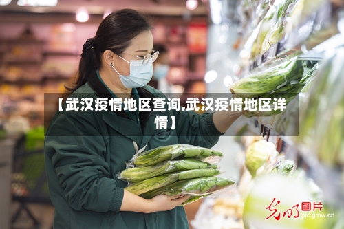 【武汉疫情地区查询,武汉疫情地区详情】
