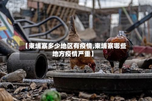 【柬埔寨多少地区有疫情,柬埔寨哪些地方疫情严重】-第2张图片