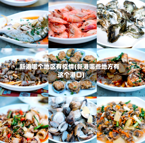 新港哪个地区有疫情(新港哪些地方有这个港口)