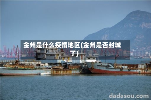 金州是什么疫情地区(金州是否封城了)-第2张图片