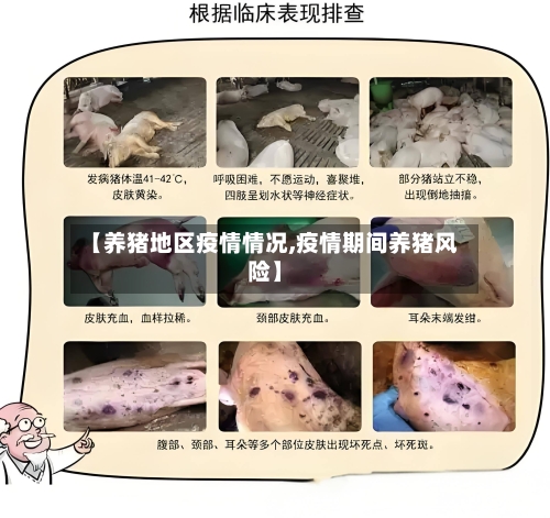 【养猪地区疫情情况,疫情期间养猪风险】