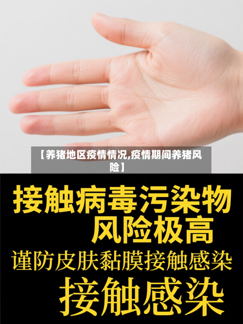 【养猪地区疫情情况,疫情期间养猪风险】-第2张图片