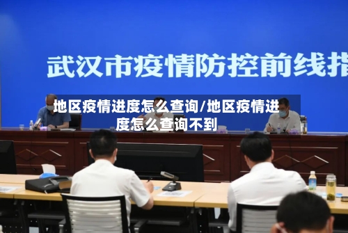 地区疫情进度怎么查询/地区疫情进度怎么查询不到