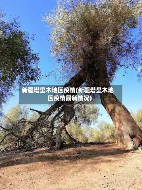 新疆塔里木地区疫情(新疆塔里木地区疫情最新情况)-第2张图片