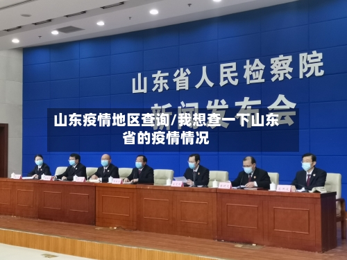 山东疫情地区查询/我想查一下山东省的疫情情况-第3张图片