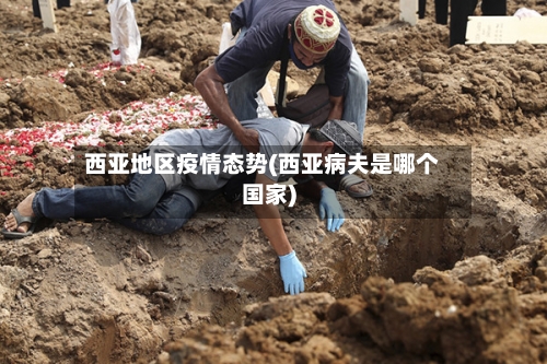 西亚地区疫情态势(西亚病夫是哪个国家)