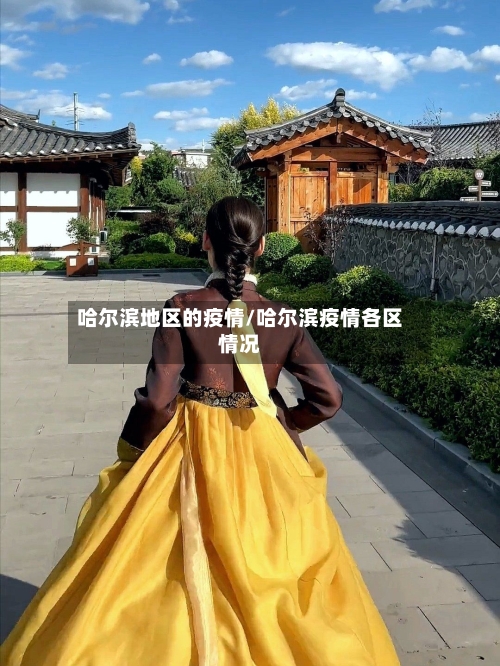 哈尔滨地区的疫情/哈尔滨疫情各区情况-第2张图片