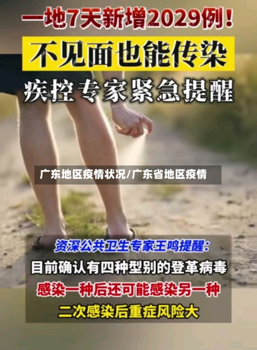广东地区疫情状况/广东省地区疫情