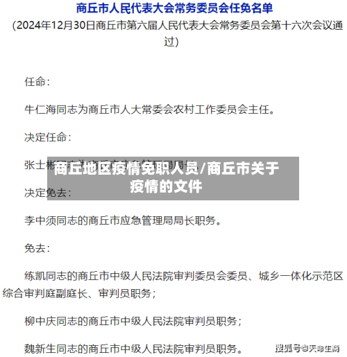 商丘地区疫情免职人员/商丘市关于疫情的文件-第3张图片