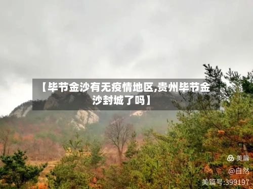 【毕节金沙有无疫情地区,贵州毕节金沙封城了吗】-第2张图片