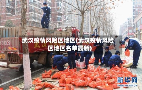 武汉疫情风险区地区(武汉疫情风险区地区名单最新)