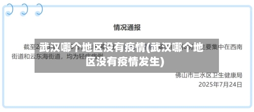 武汉哪个地区没有疫情(武汉哪个地区没有疫情发生)-第2张图片