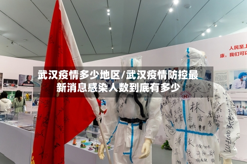 武汉疫情多少地区/武汉疫情防控最新消息感染人数到底有多少-第3张图片