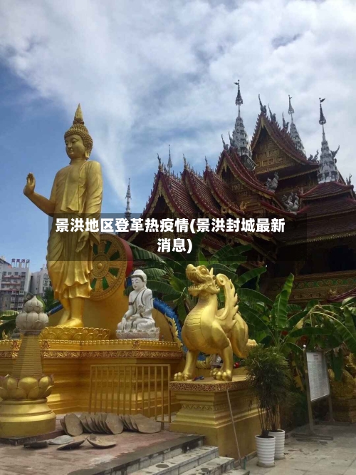 景洪地区登革热疫情(景洪封城最新消息)