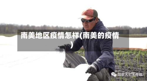 南美地区疫情怎样(南美的疫情)