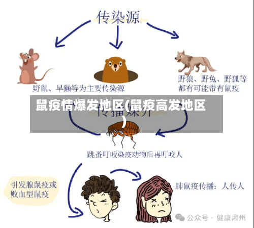 鼠疫情爆发地区(鼠疫高发地区)